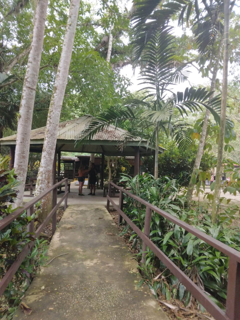 slide 19